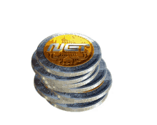 bitcoin stake
