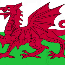 Wales Welsh GIF - Wales Welsh Cymru GIFs