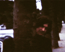 a blurred image of a person standing in front of a tree