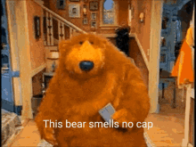 Bear Smell GIF - Bear Smell No GIFs
