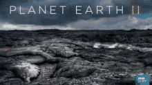 Planet Earth 2 GIF - Planet Earth2 Tv Show British Nature Doc GIFs