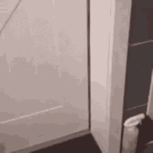 Cat Opening A Door GIF