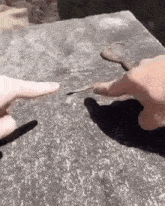 Little Baby Man Snake GIF - Little Baby Man Snake Pointing At Snake GIFs