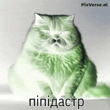 a green cat with its eyes closed is sitting on a white surface .