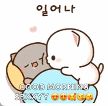 a cartoon of a cat and a dog laying in bed with the words `` good morning sexxy '' .