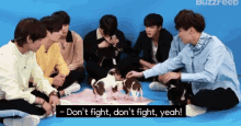 Dogs Dont Fight GIF - Dogs Dont Fight Cute GIFs