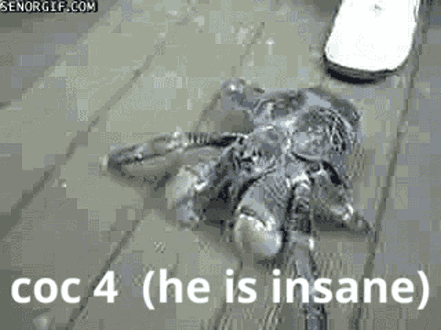 Coconut Crab Insane GIF - Coconut Crab Insane Crab - Discover & Share GIFs
