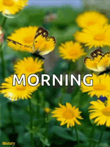 Good Morning Sparkle GIF - Good Morning Sparkle Butterflies GIFs