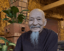 a man with a long beard is smiling in front of a plant pot