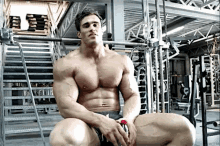 Muscle Huge GIF - Muscle Huge GIFs