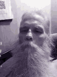 Bearded Man Selfie GIF - Bearded Man Selfie Stare GIFs