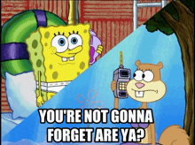 Spongebob Sandy GIF - Spongebob Sandy Youre Not Gonna Forget Are Ya GIFs