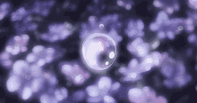 Bubble GIF - Bubble GIFs