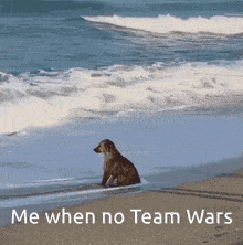 Teamwars Team Wars GIF - Teamwars Team Wars No Team Wars GIFs