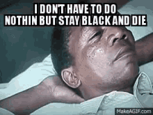 Stay Black Black And Die GIF - Stay Black Black And Die Morgan Freeman GIFs