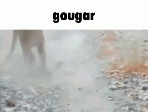 gougar-gouger.gif