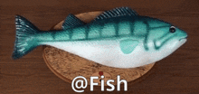 Fish At GIF - Fish At Discord GIFs