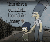 a cartoon says this what a cornfield looks like a honey