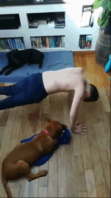 a shirtless man is doing push ups while two dogs are laying on the floor
