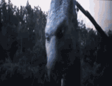 Saphira Eragon GIF