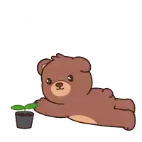 a brown teddy bear is laying down next to a small potted plant