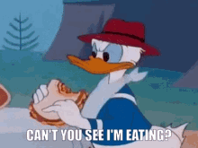 Donald Duck Disney GIF