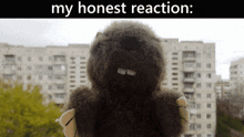 My Honest Reaction Bobr GIF - My Honest Reaction Bobr Q250 GIFs