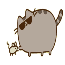 pusheen your cool we are cool bff sunglasses