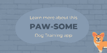 Dog Training GIF - Dog Training GIFs
