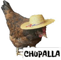 Chupalla Sticker - Chupalla Stickers