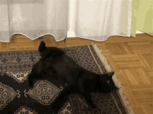 Cat Lazy GIF - Cat Lazy Relax GIFs