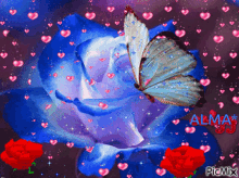 rosa azul blue rose butterfly sparkle