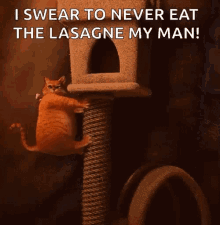 Puss In Boots Kitty GIF - Puss In Boots Kitty Funny GIFs