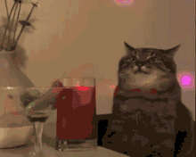 GIF