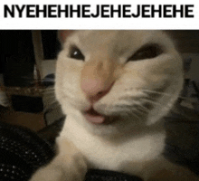 Nyehehhejehejehehe Cat GIF - Nyehehhejehejehehe Cat Laughing GIFs