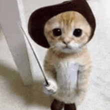 a cat is wearing a hat and holding a sword .