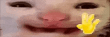 a close up of a cat 's face with a yellow hand coming out of its mouth .