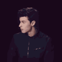 Shawn Mendes Smile GIF - Shawn Mendes Smile Crooner GIFs