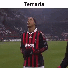 Ronaldinho Terraria GIF