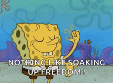 sponge bob square pants sponge bob hand nothing like soaking up freedom