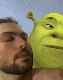 Benningtonsxm Shrek GIF - Benningtonsxm Shrek GIFs
