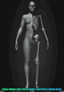female girl skeleton skull basemesh