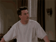 Tv Shows Friends GIF