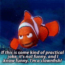 Finding Nemo Marlin GIF - Finding Nemo Marlin If This Is Some Kind Of Practical Joke GIFs