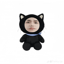 a black stuffed animal with a cat costume on