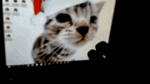 a picture of a cat wearing a santa hat