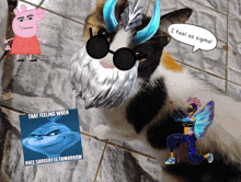 a cat with sunglasses and a speech bubble that says " i feel so sigma "