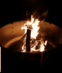 Fire Pit Burning GIF - Fire Pit Burning Fire GIFs