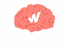 brain brain