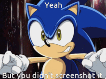 I Saw What You Deleted No Proof GIF - I Saw What You Deleted No Proof Sonic GIFs